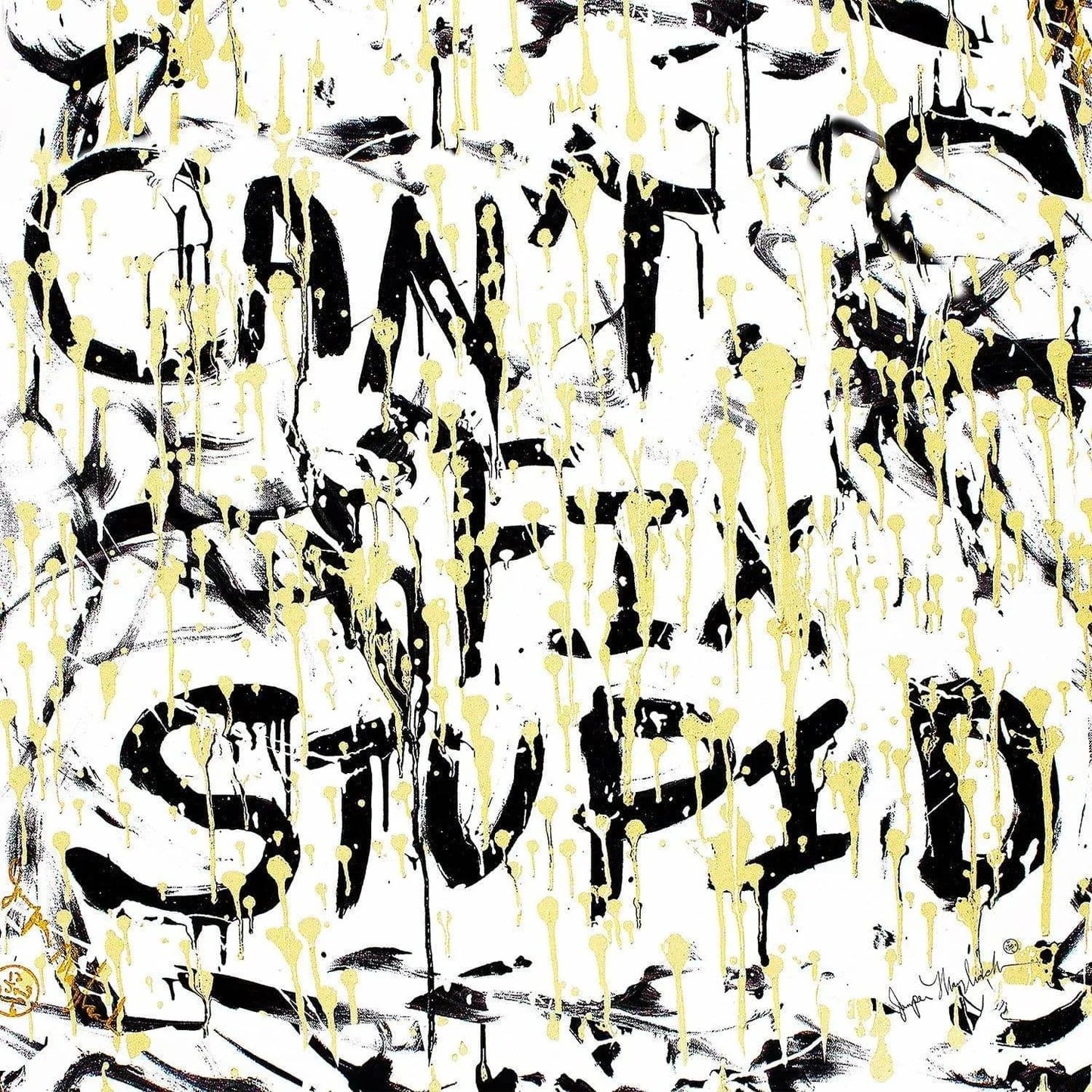 Can't Fix Stupid (Embellished-Hand Signed by the Artist) - Jumper Maybach