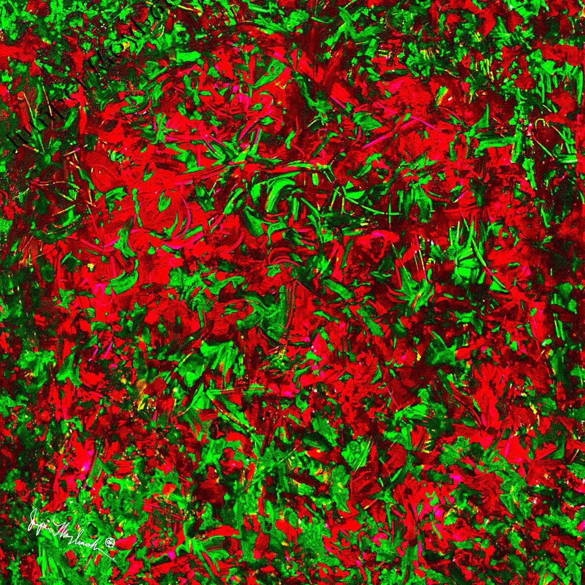 Cherry Raspberry Fields (Print on Canvas) - Jumper Maybach