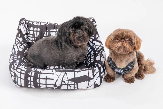 Introducing the New Pet Product Line by Jumper Maybach® and Axel Roze Pets™